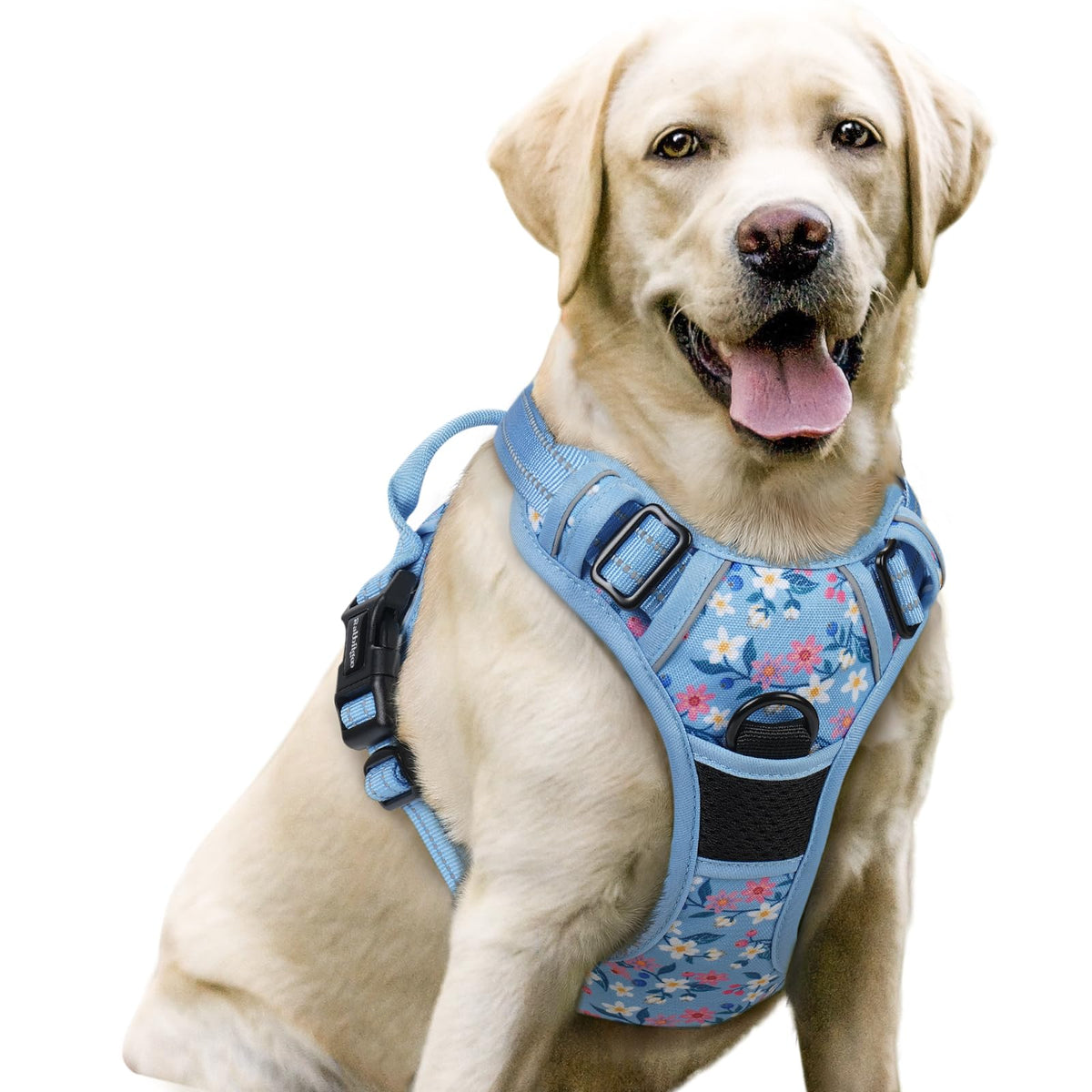 Dog Harness No Pull for Large Dogs with 2 Leash Clips (Large / Blue Floral)
