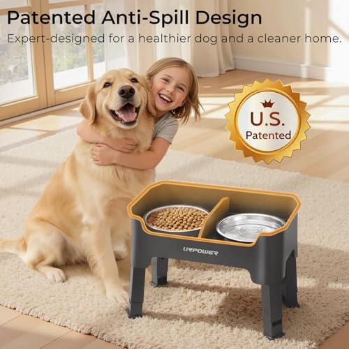 Mess Proof Elevated Dog Bowls (Grey / Medium)
