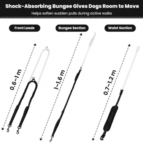 Hands Free Double Dog Leash (Pure Black)