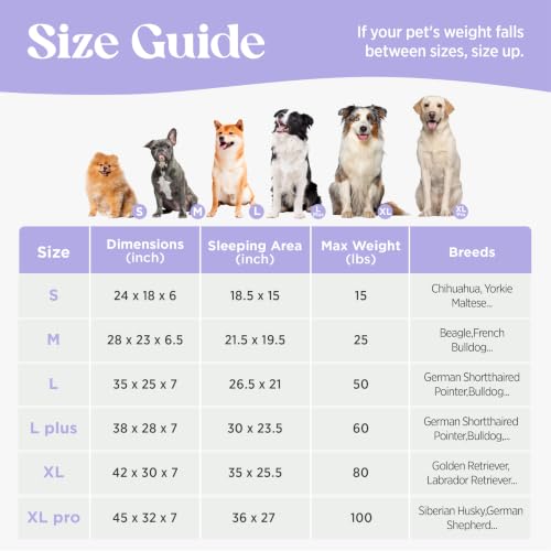 Cute Cozy High Back Orthopedic XL Pro Dog Bed (45.0"l X 32.0"w X 7.0"th / Hazel)