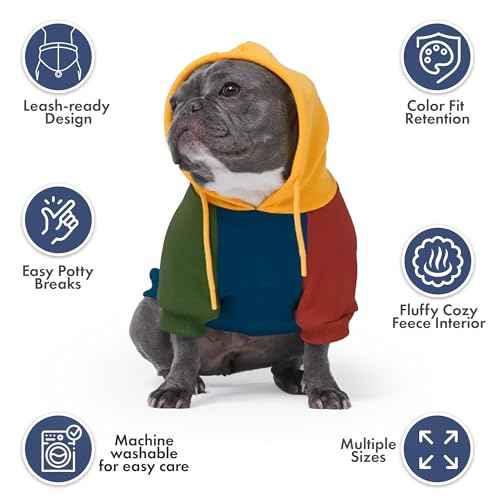 Dog Hoodie Buttery (Primary Color Block / Small)