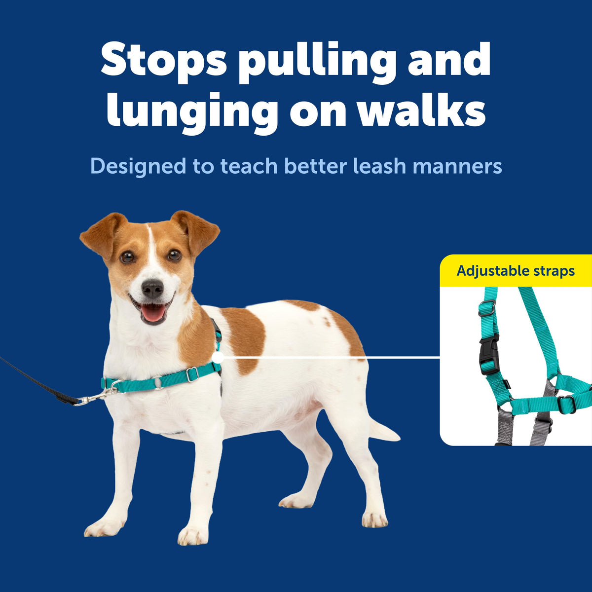 Easy Walk Harness (Small / Teal/Gray)