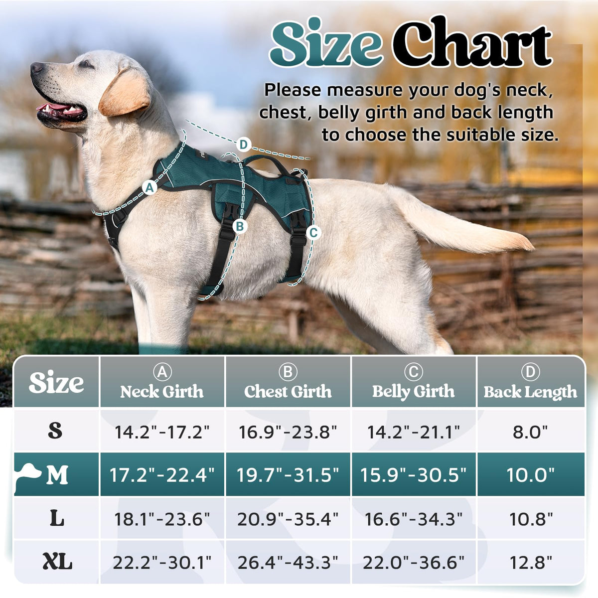 Escape Proof Dog Harness for Medium (Dark Green / Medium)