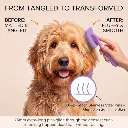 Slicker Brush for Dogs (Puple)