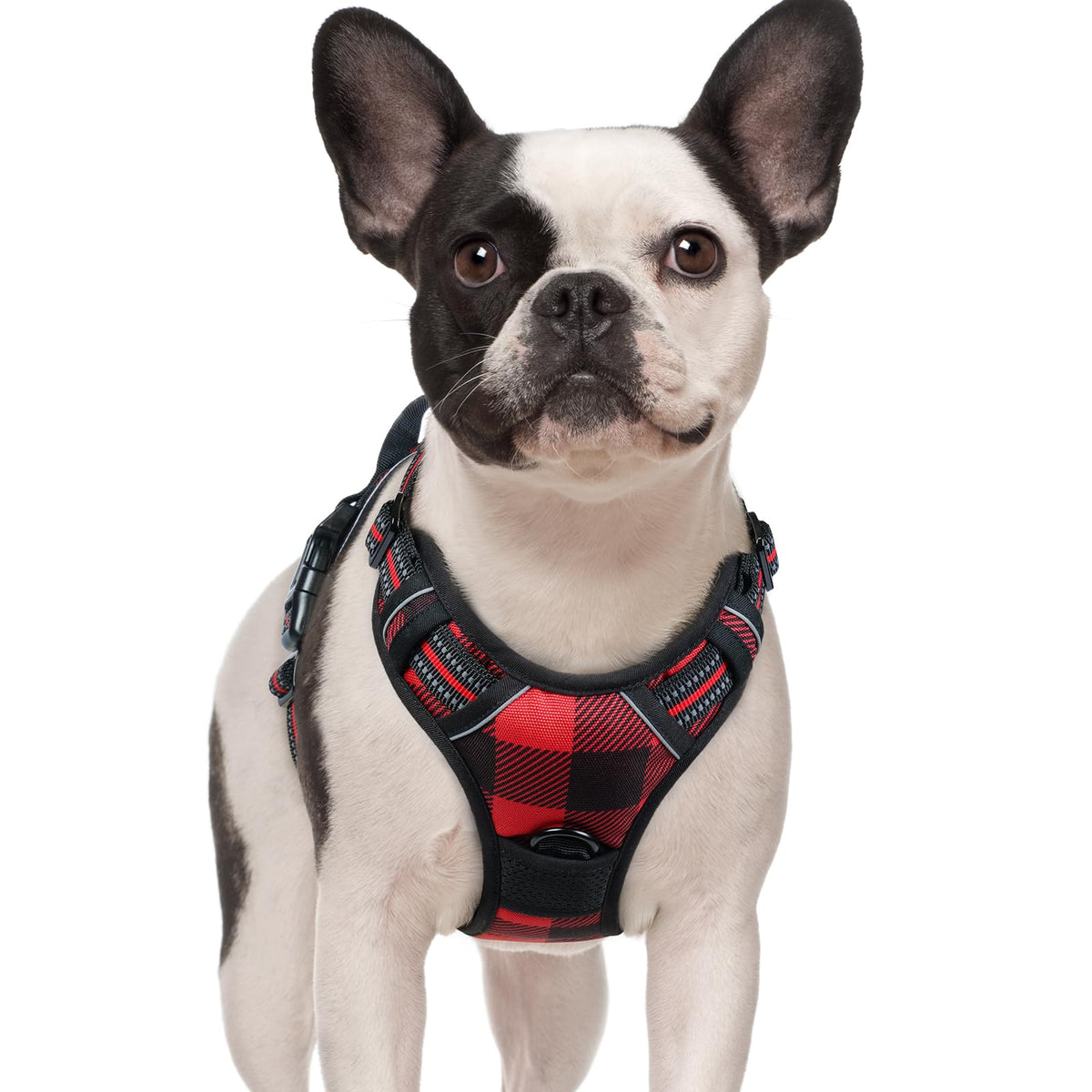 Dog Harness No Pull for Small Dogs with 2 Leash Clips (Small / Red Plaid)