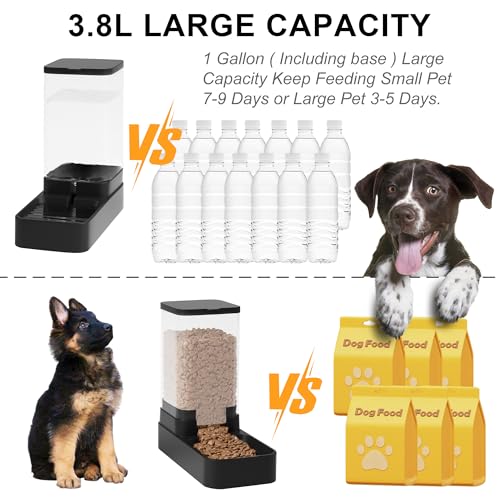 Automatic Cat Feeder and Water Dispenser in Set with Pet Food Bowl