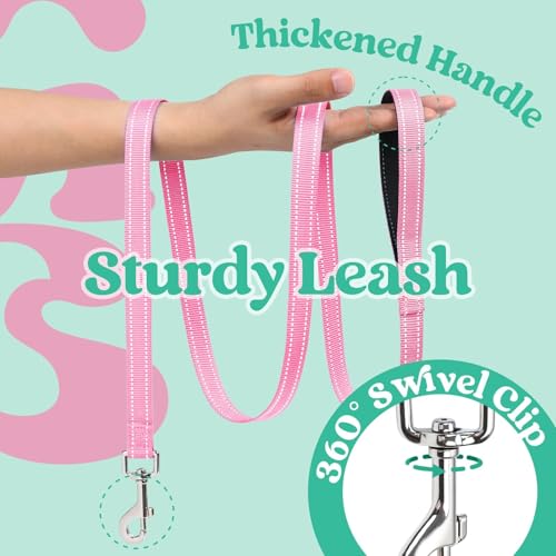 Dog Harness Small Sized and Leash Set (Teal & Pink / S (Chest: 15.1"-16.5"))