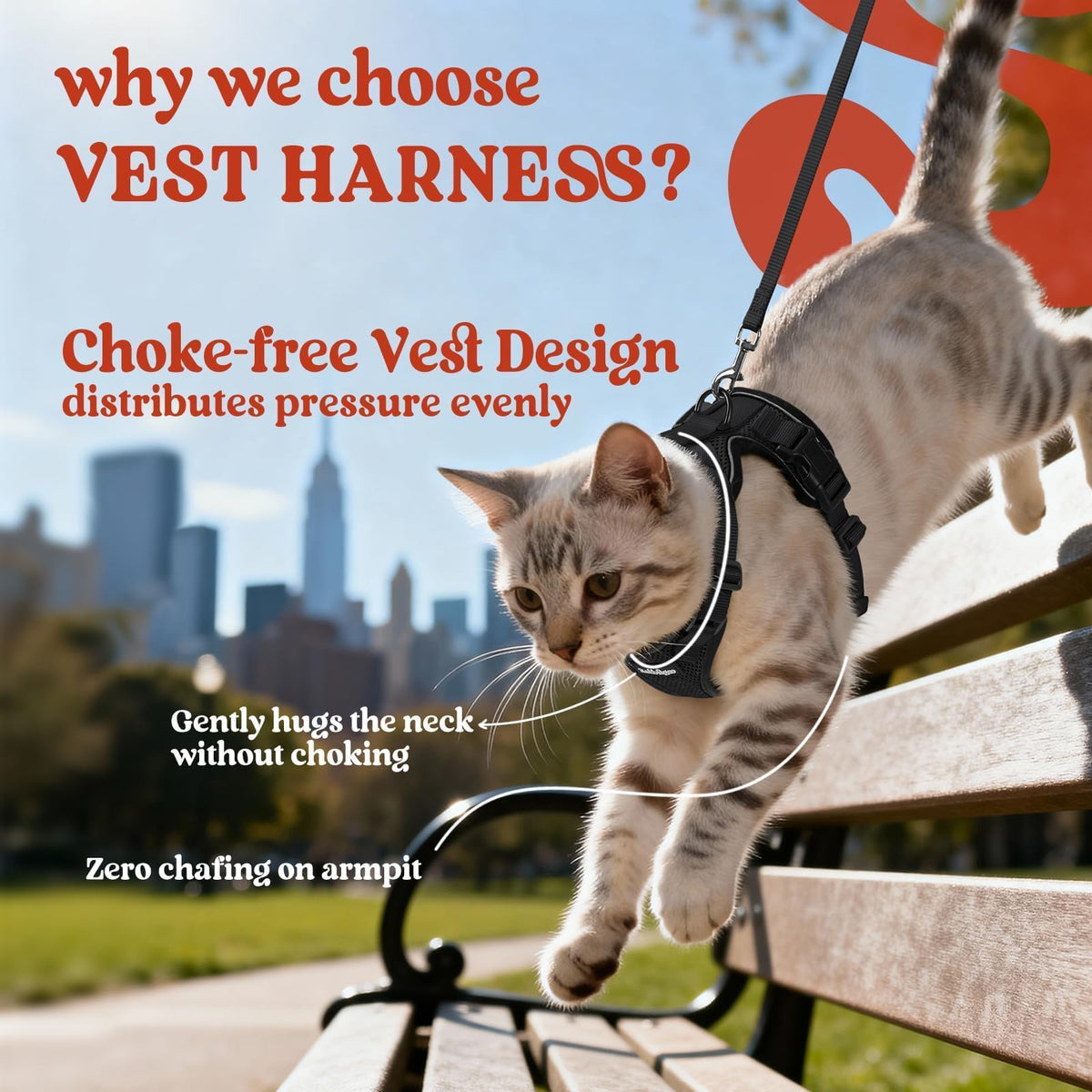 Cat Harness and Leash Set (Xs / Black)