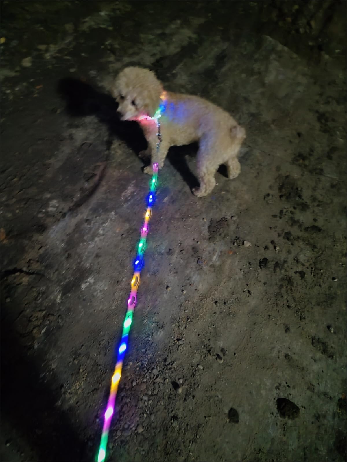 Light Up Dog Leash USB Rechargeable for Small Medium Large Dogs (Bohemian Orange / L59in/W1in)