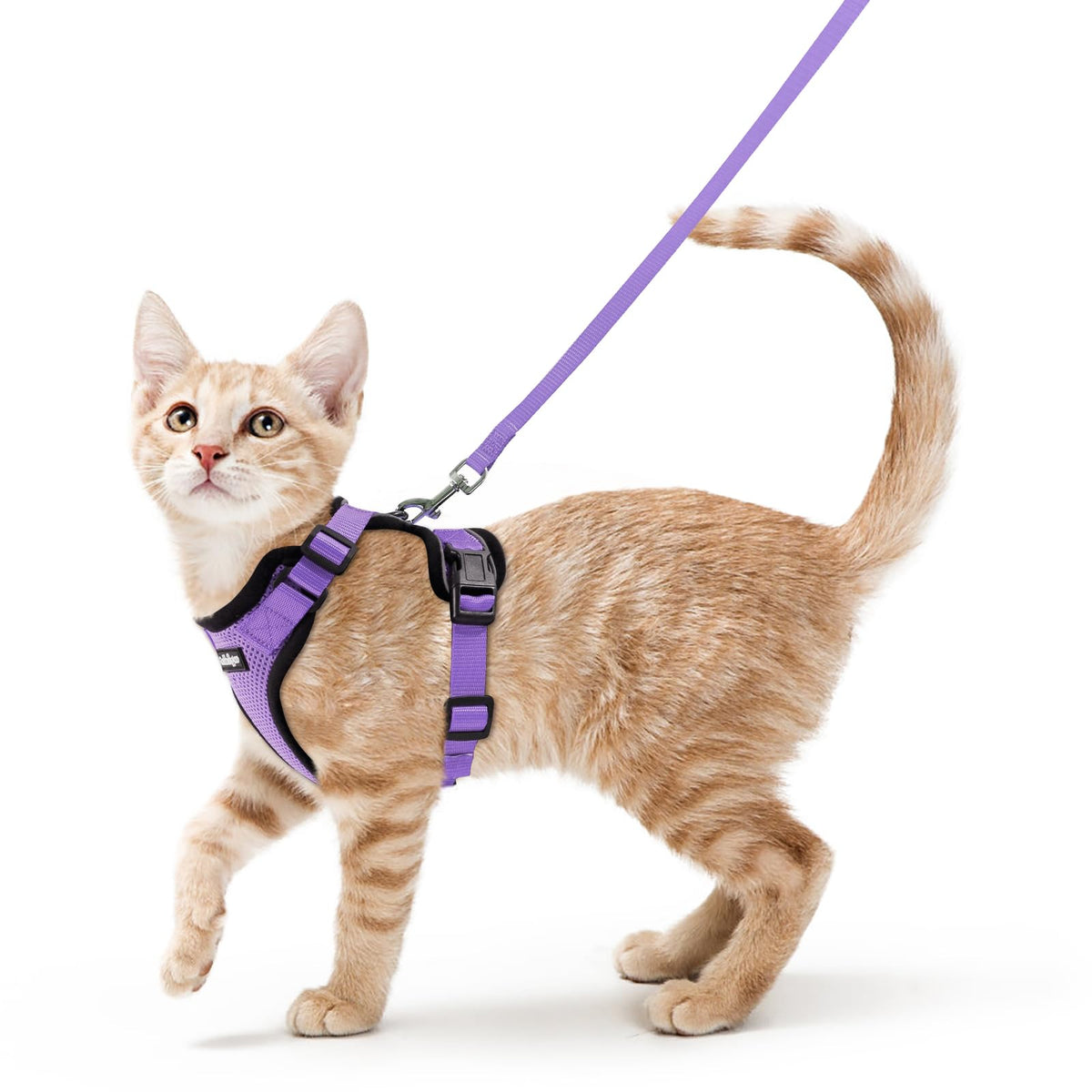 Cat Harness and Leash Set (Xs / Light Purple)