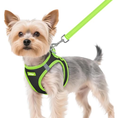 Dog Harness Small Sized and Leash Set (Black & Green / XS (Chest: 13.3"-15.5"))