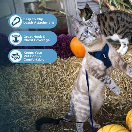 Voyager Step in Lock Cat Harness & Leash Set (Royal Blue / XS (Chest: 13 - 16"))