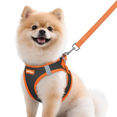Dog Harness Small Sized and Leash Set (Black & Orange / M (Chest: 16.0"-18.5"))