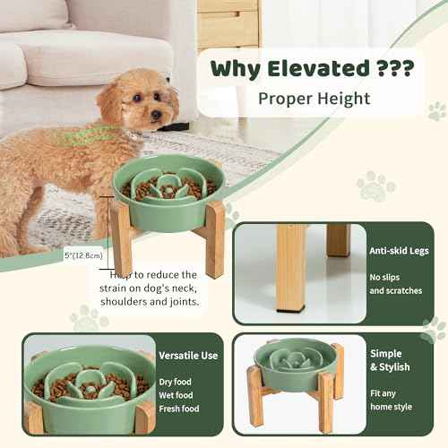 Elevated Slow Feeder Dog Bowl (Green / 1.5 Cups)
