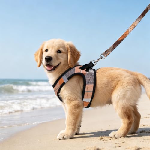 Dog Harness Collar and Leash Set No Pull for Small Medium Sized (Orange / XS (CHEST 13"-14.5"))