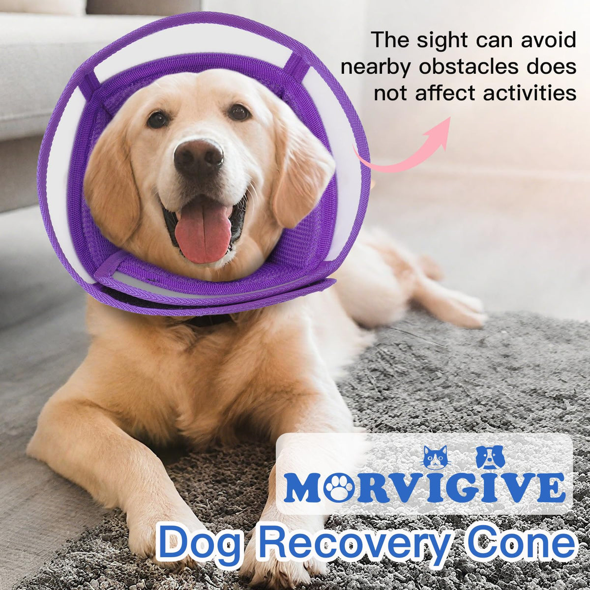 Soft Dog Cone Collar to Stop Licking (Purple / Small)