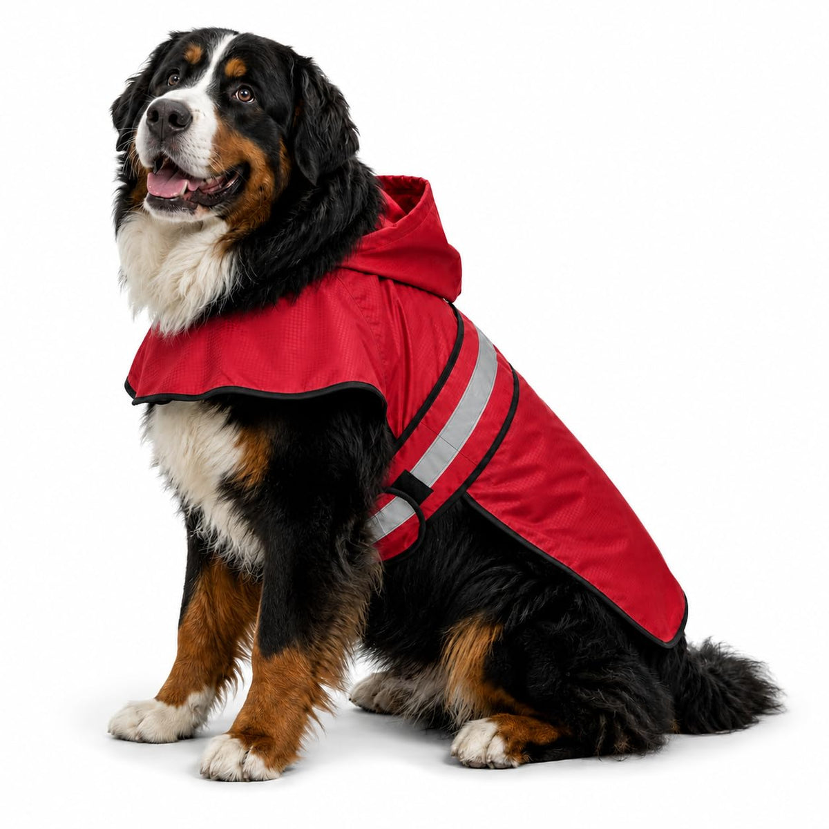 Dogg Toggs Raincoat (Red / X-Large)