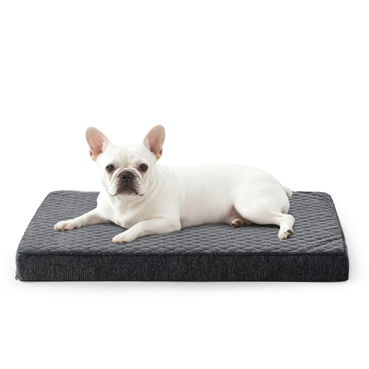 Orthopedic Dog Bed for Small Dogs (S(23"x17") / Grey)