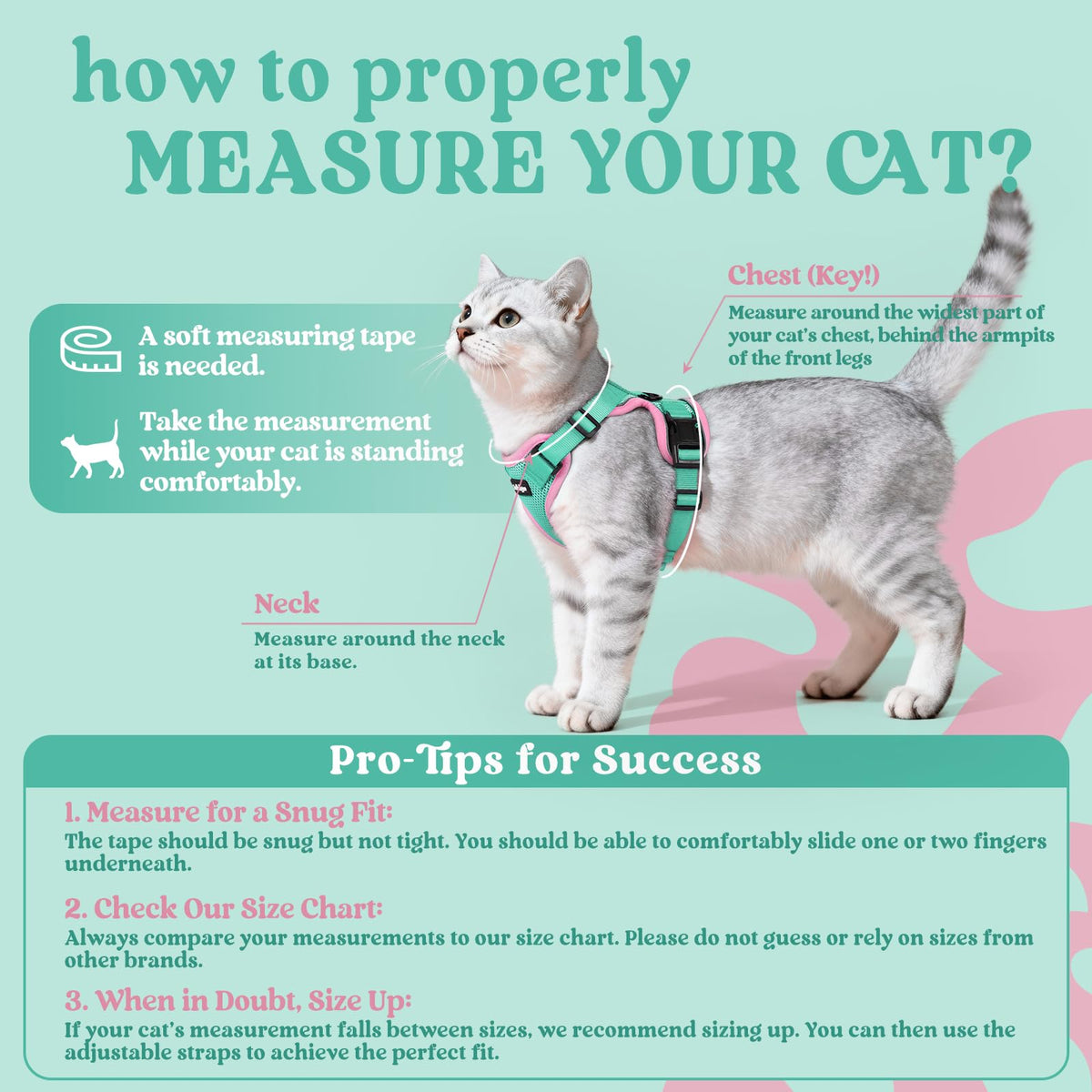 Cat Harness and Leash Set (Xs / Green & Pink)