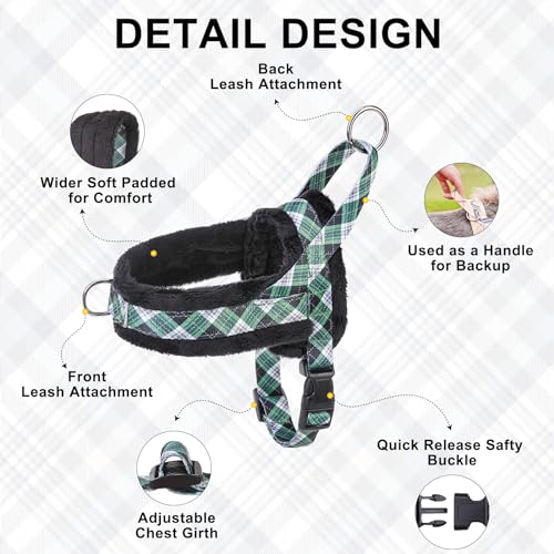 No Pull Small Dog Harness and Leash Set (Green_Velvet / S: Chest 17.5"-22")