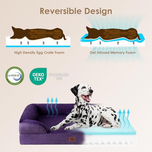 Orthopedic XXL Dog Bed (Purple / 46.0"l X 35.0"w X 7.5"th)