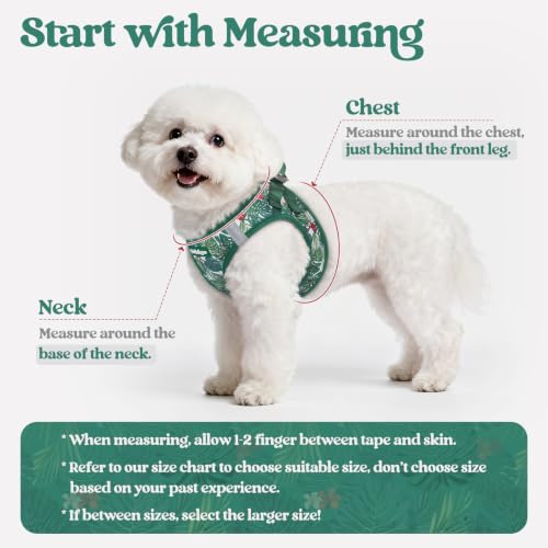 Dog Harness Small Sized and Leash Set (Rainforest Green / S (chest: 15.1 - 16.5"))