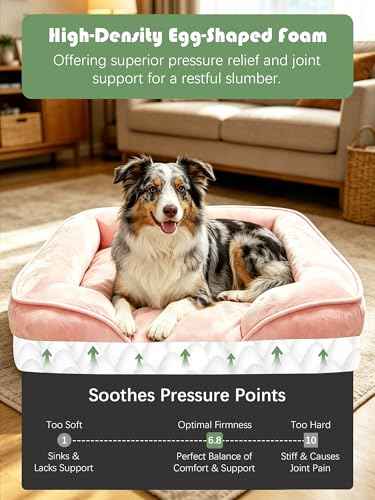 Orthopedic Dog Bed with Sides (35.0"L x 25.0"W x 6.5"Th / Pink)