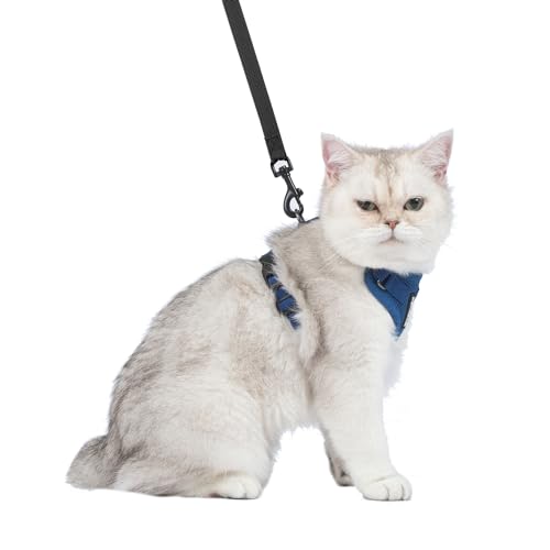 Voyager Step in Lock Cat Harness & Leash Set (Royal Blue / XXS (Chest: 11.5 - 14"))