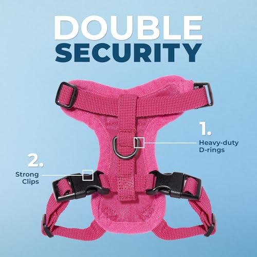 Voyager Step in Lock Cat Harness & Leash Set (Fuchsia / XXXS (Chest: 10.5 - 13"))