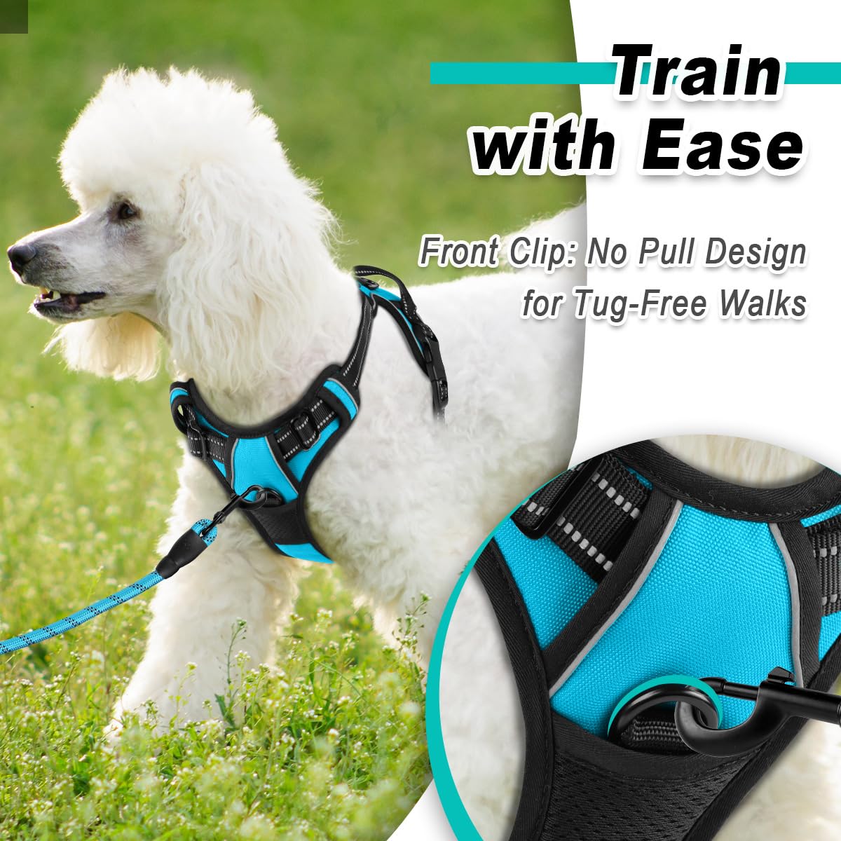 Dog Harness for Small Sized Dog No Pull 2 Leash Clips Dog Vest (Blue / X-Small)