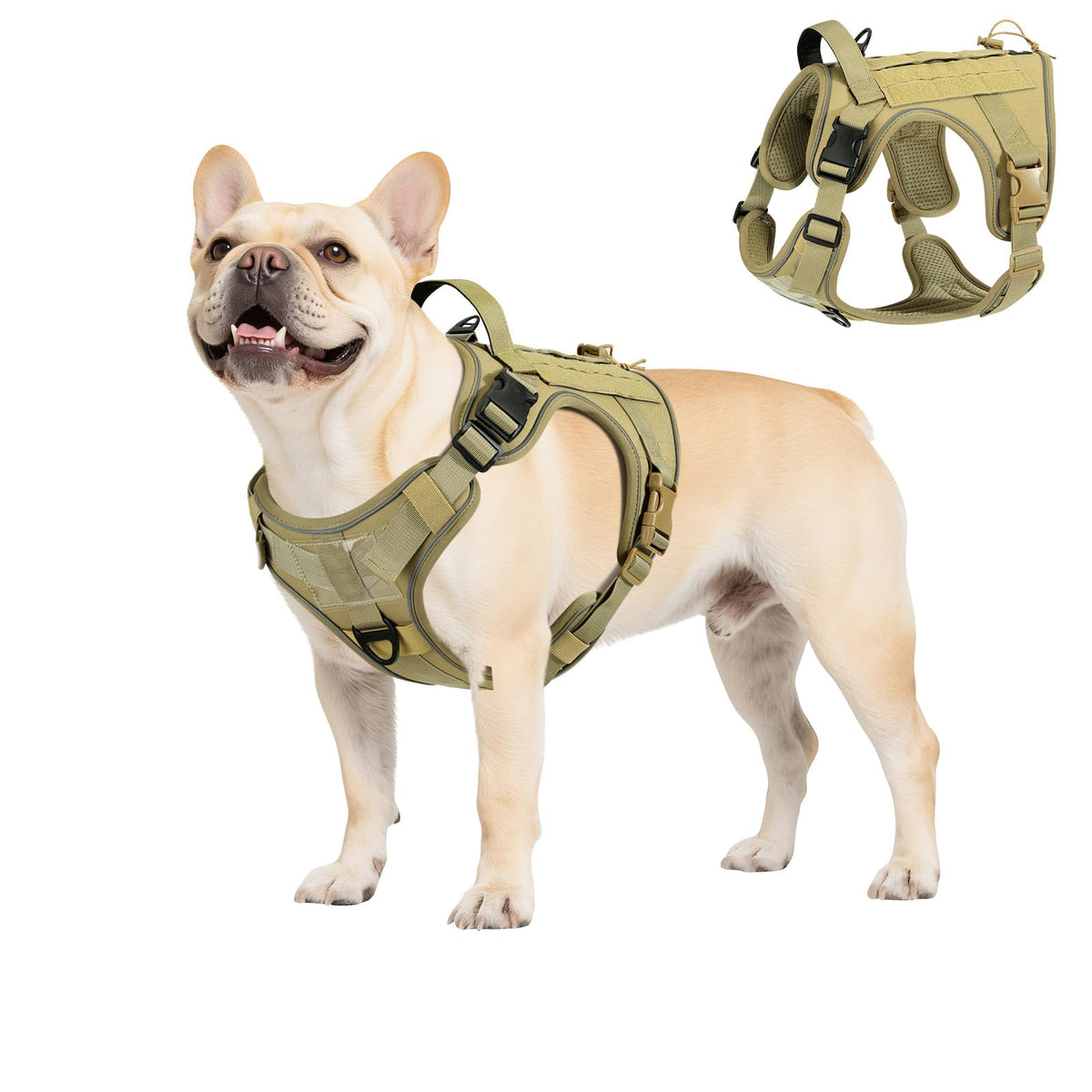 Heavy Duty Tactical Dog Harness for Small Dogs (Army Yellow / S (Chest: 19.6-31.5", Neck: 11-19.6"))