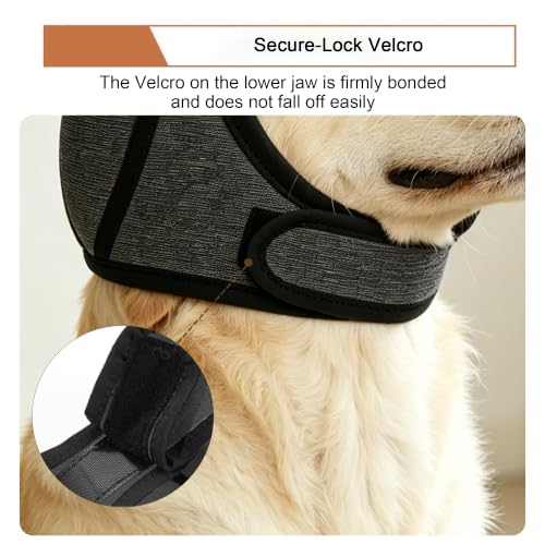 Dog Ear Protection Wrap (Pink / Large)