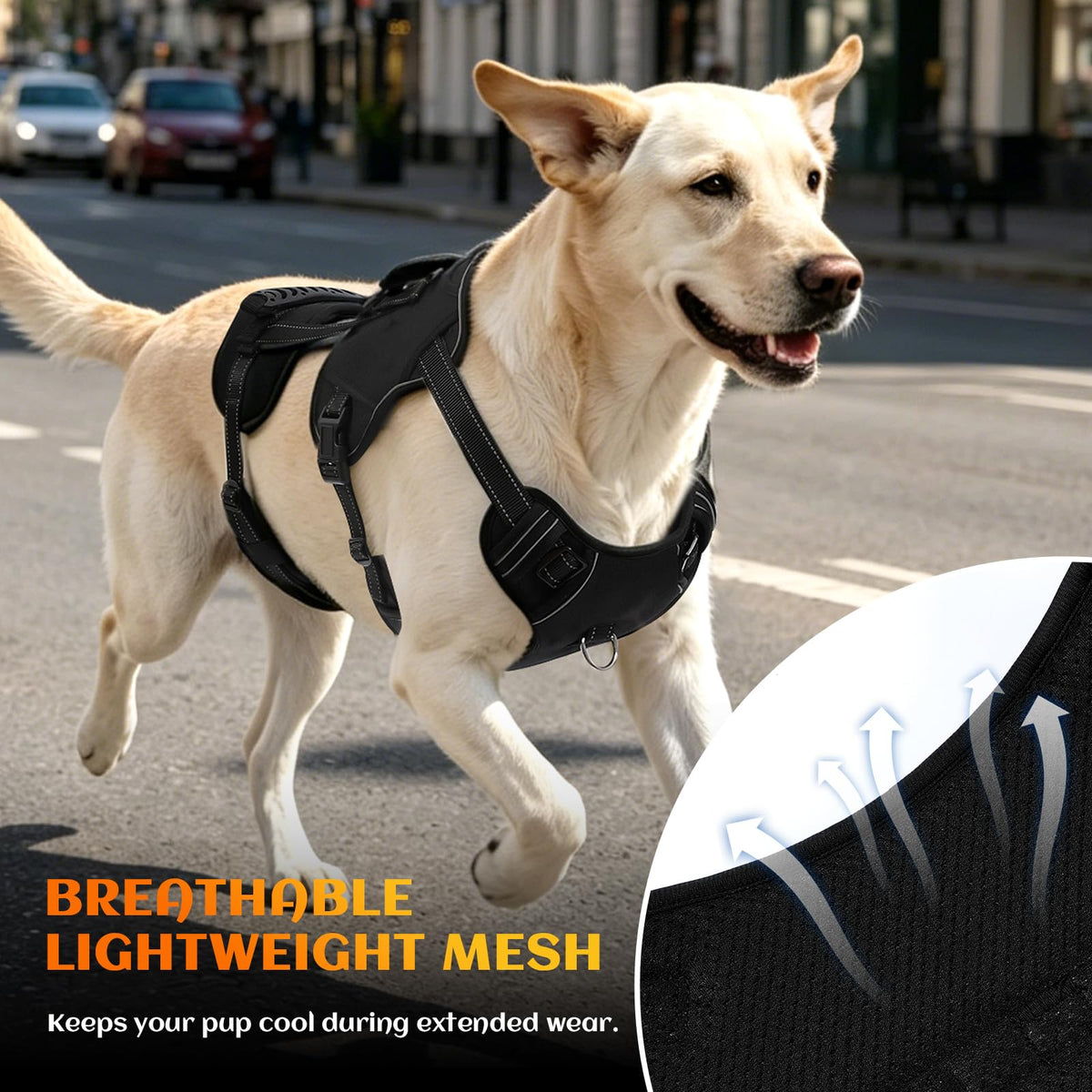 Dog Lift Harness (Black-2 / Medium)