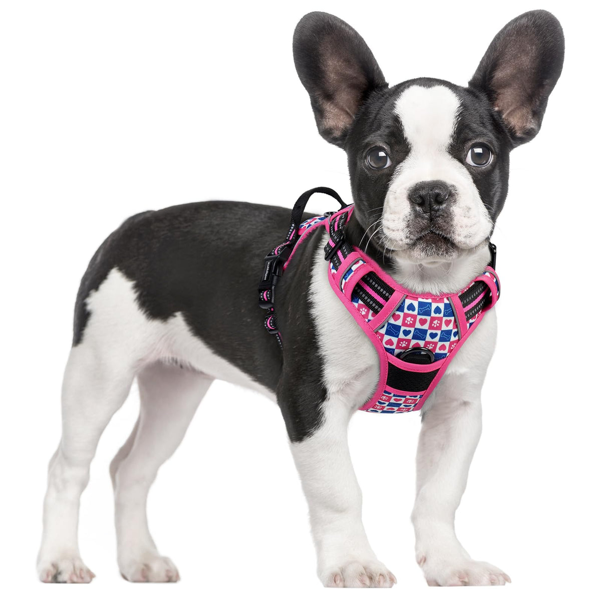 Dog Harness No Pull for Large Dogs with 2 Leash Clips (Small / Hot Pink Grid)