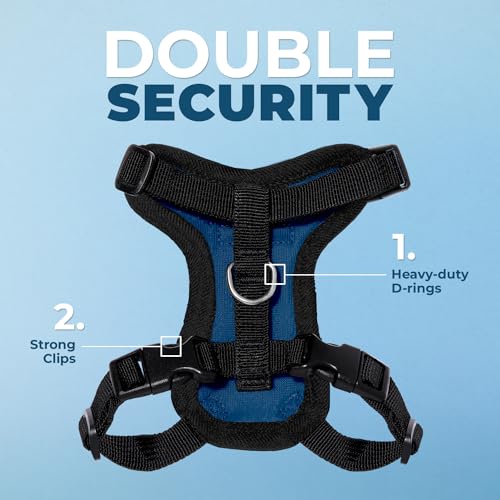 Voyager Step in Lock Cat Harness & Leash Set (Royal Blue/Black Trim / S (Chest: 15 - 18"))