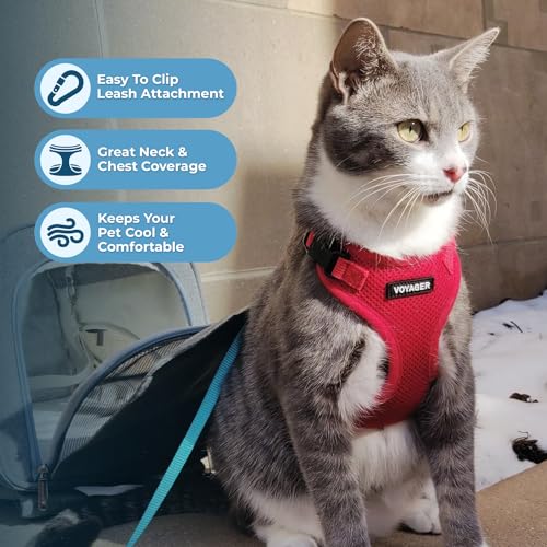 Voyager Step in Lock Cat Harness & Leash Set (Red / S (Chest: 15 - 18"))
