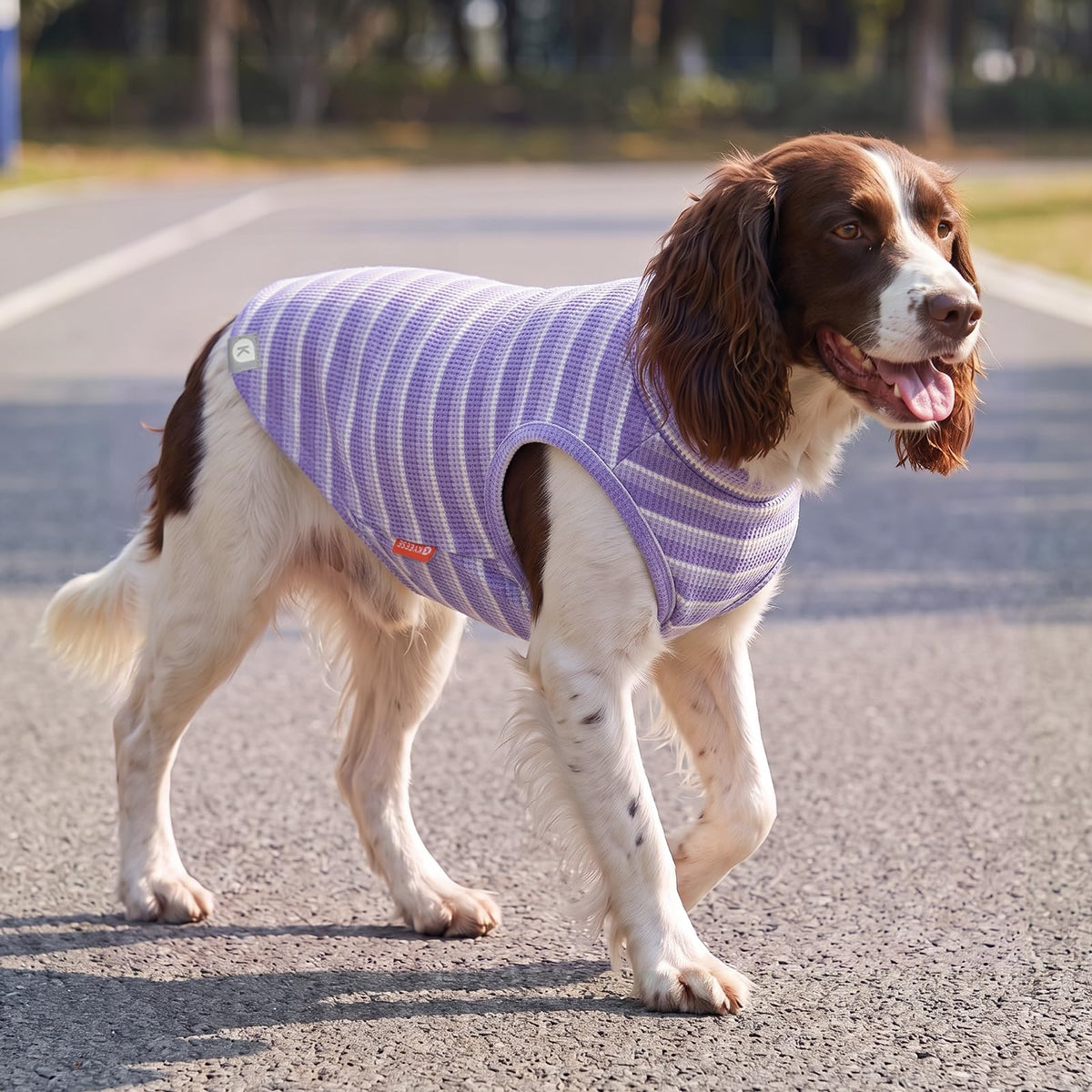 2Pack Waffle Dog Shirt for Medium Large Dogs Striped Dog Sweater (XX-Large (28-50lbs) / 2Pack(Purple+Striped))