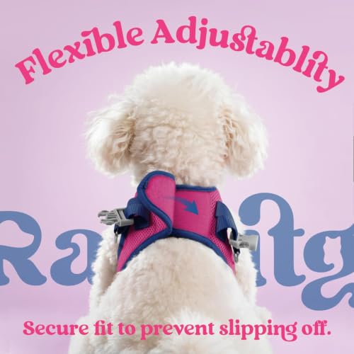 Dog Harness Small Sized and Leash Set (Rose Red & Navy Blue / S (Chest: 15.1"-16.5"))