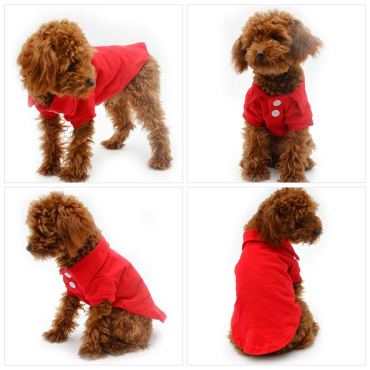 Basic Dog Polo Shirts Premium Cotton (M (-12lbs) / Red)