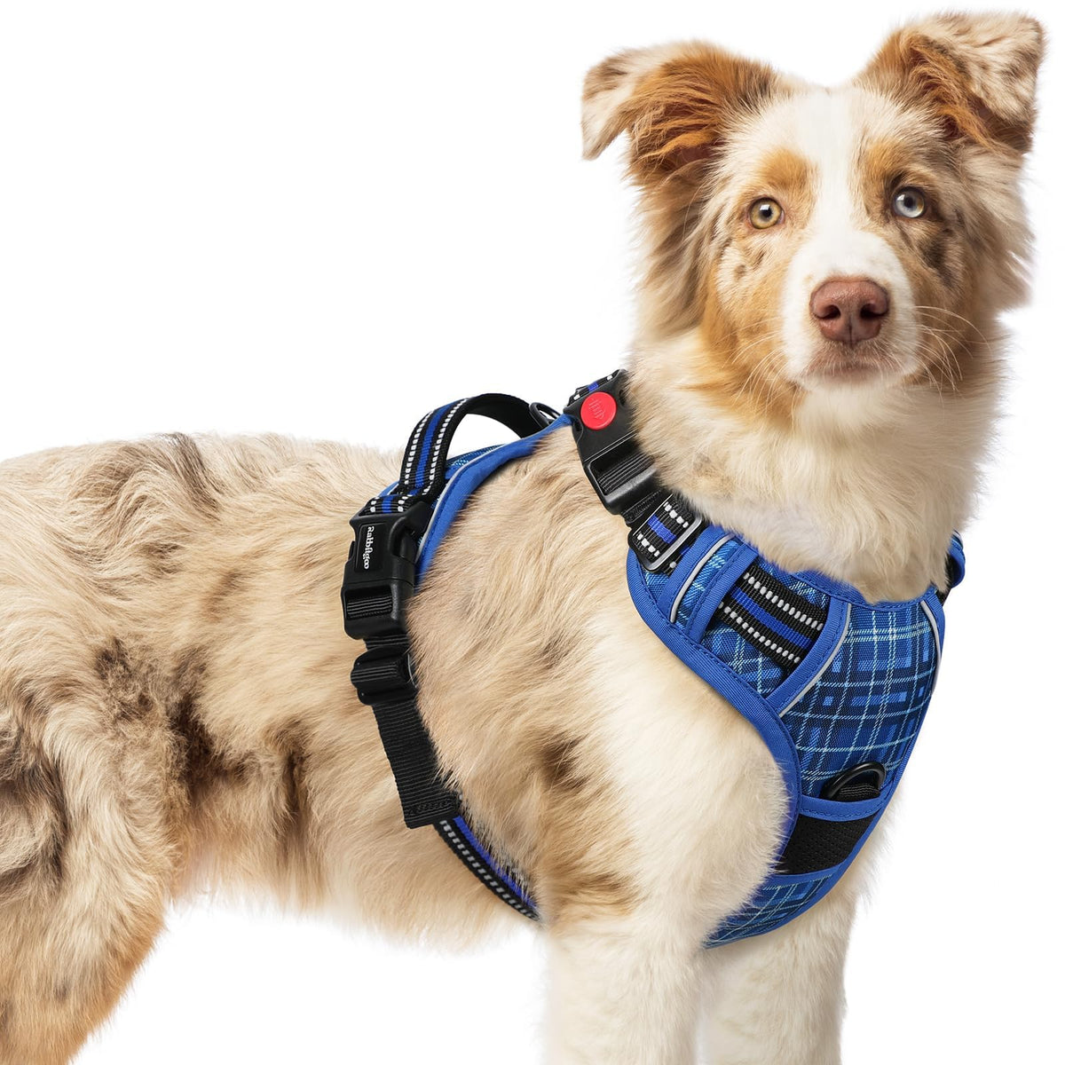 Dog Harness Medium Sized (Blue Plaid / Medium)