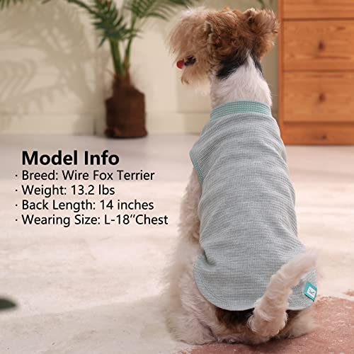2Pack Waffle Dog Shirt for Small Dogs Striped Dog Sweater Tank Top (Large (12-18lbs) / 2Pack(Green+Grey))