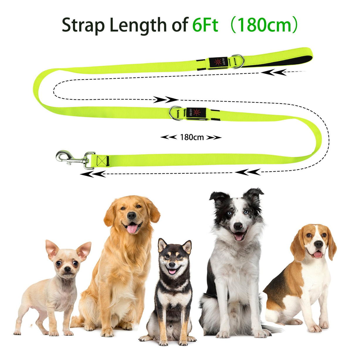 LED Light Up Dog Leash (Green / 6 Ft)
