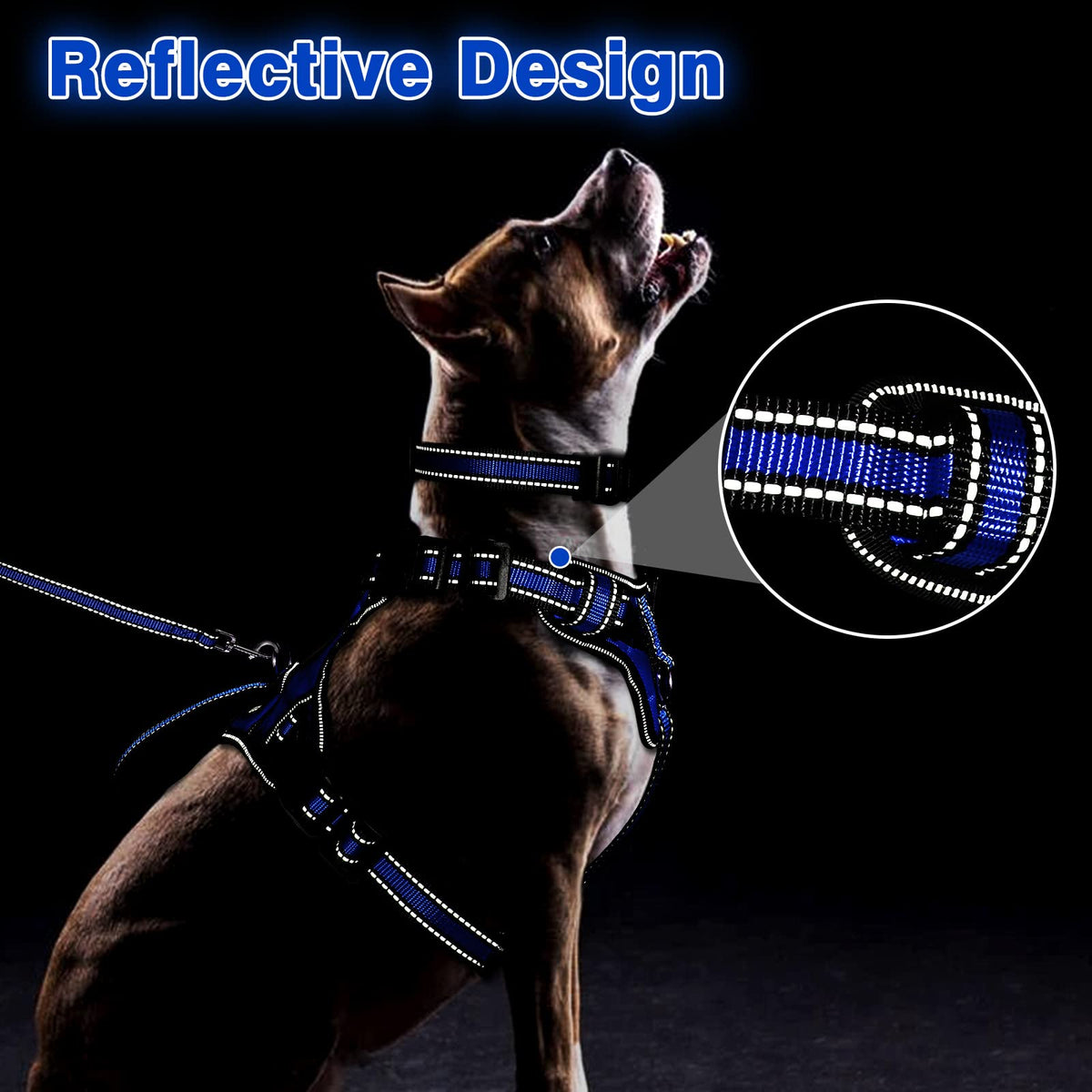 Pet Harness Collar and Leash Set (Small / Dark Blue)