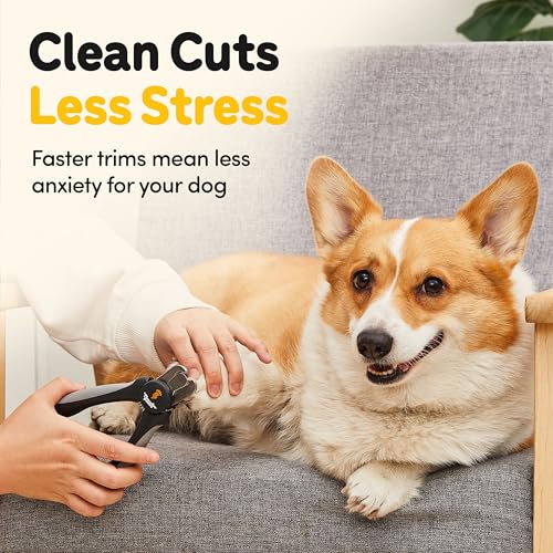 LED Dog Nail Clippers with Light