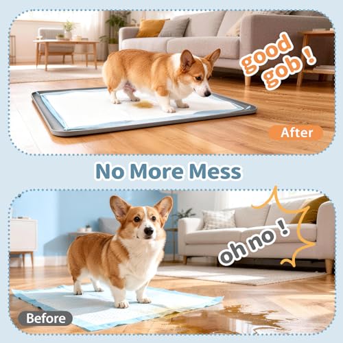 Silicone Pee Pad Holder for Dogs and Puppies (35.9"L x 24.9"W)