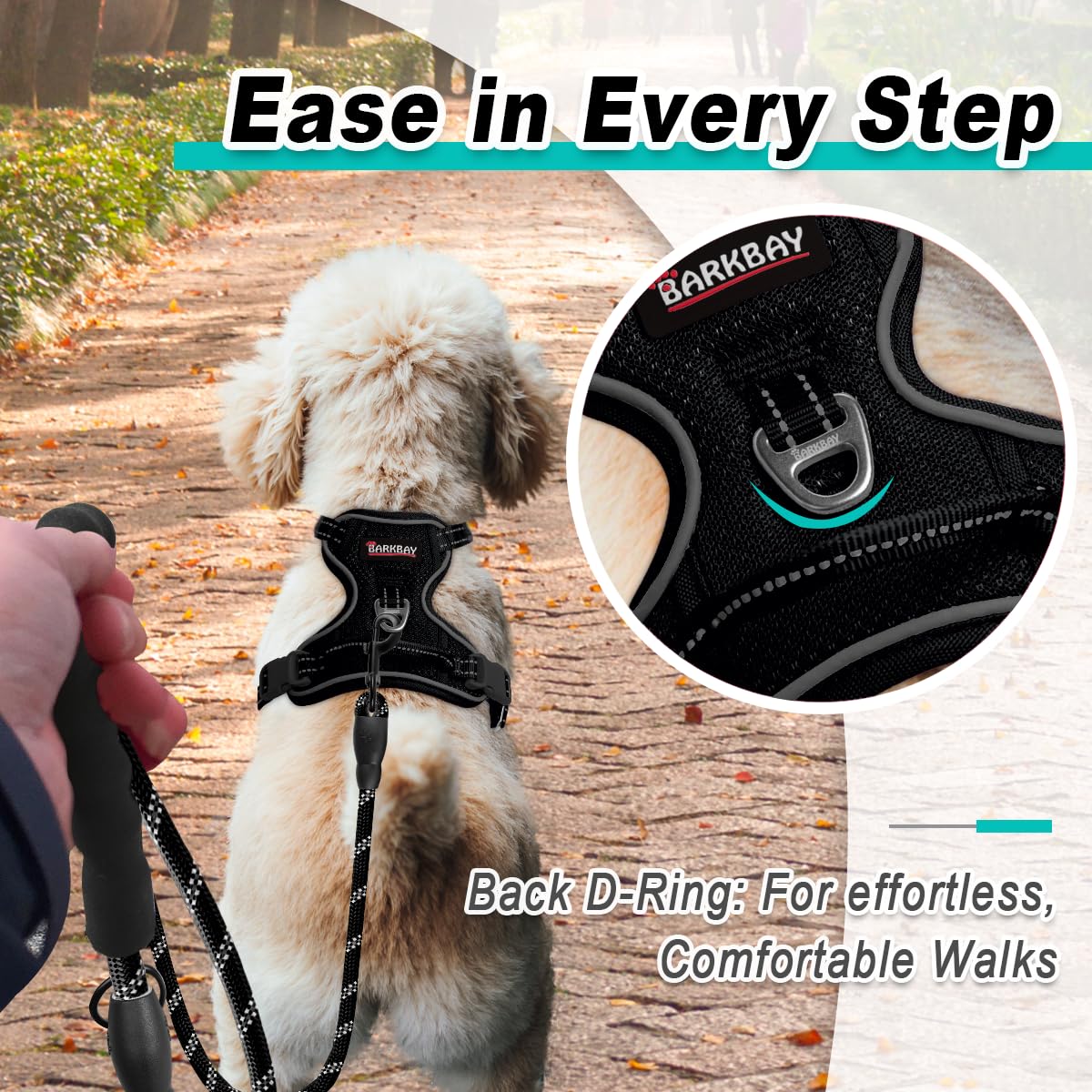 Dog Harness for Small Sized Dog No Pull Mesh 2 Clips Dog Vest (Black-Mesh / X-Small)