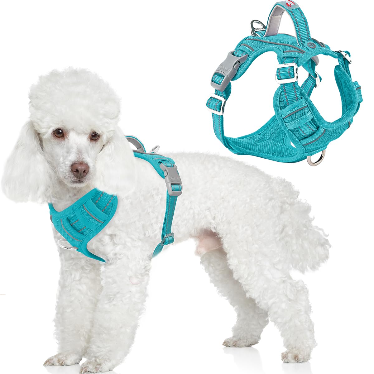 No Pull Dog Harness for Small Sized Dogs (Ocean Blue / X-Small(Chest:14.6-19.6”))