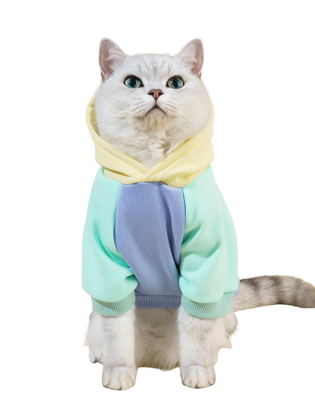 Basic Dog Hoodie Sweatshirt Puppy Sweater Warm Cat Costumes Pet Clothes for Chihuahua Puppy Kitten Small Medium Dogs Yellow and Blue X (X-Small / Yellow and Blue)