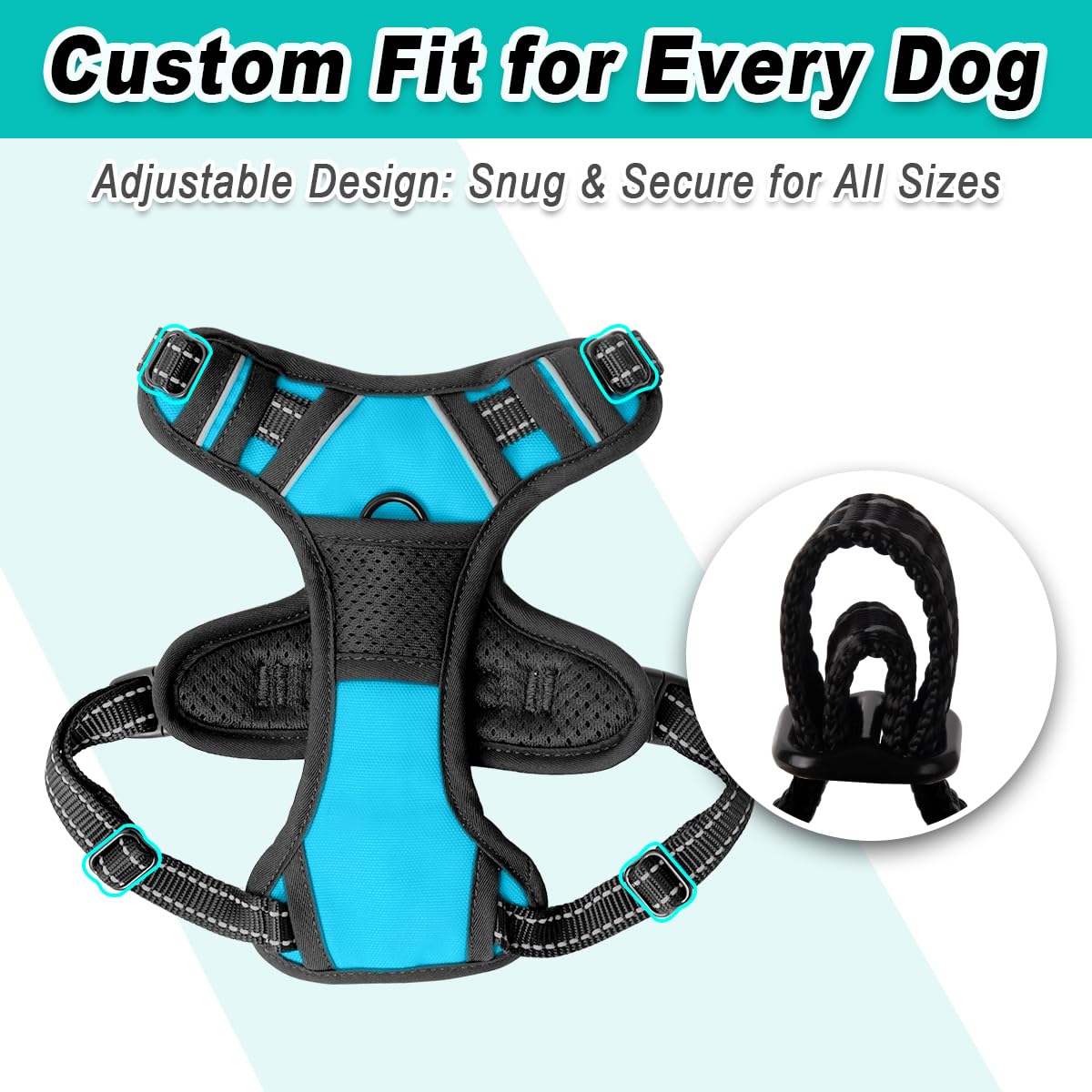 Dog Harness for Small Sized Dog No Pull 2 Leash Clips Dog Vest (Blue / X-Small)