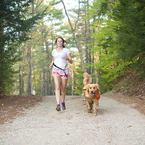 Quantum 6 in 1 Dog Leash (Red/Blue)